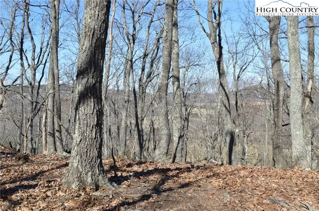 $45,000 | Coleman Drive, Sparta, NC 28675