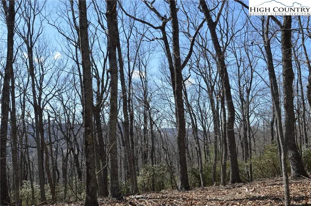 $45,000 | Coleman Drive, Sparta, NC 28675