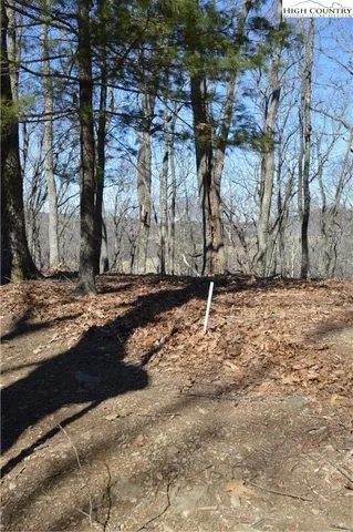 $45,000 | Coleman Drive, Sparta, NC 28675