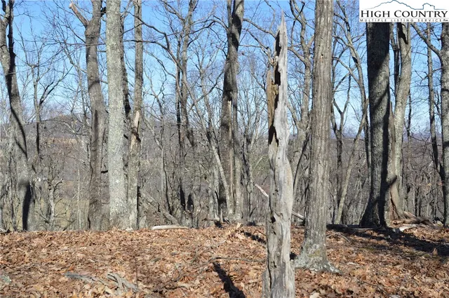 $45,000 | Coleman Drive, Sparta, NC 28675