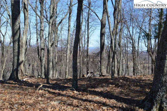 $45,000 | Coleman Drive, Sparta, NC 28675