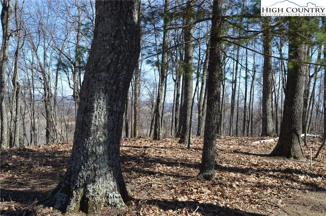 $45,000 | Coleman Drive, Sparta, NC 28675