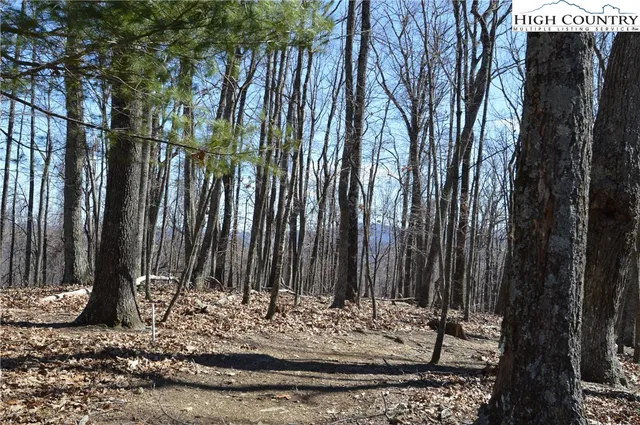 $45,000 | Coleman Drive, Sparta, NC 28675