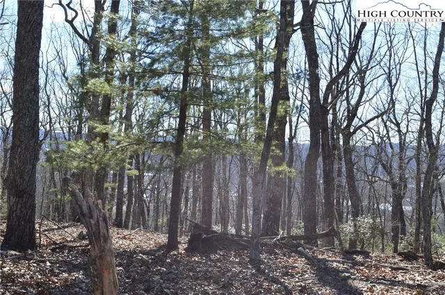 $45,000 | Coleman Drive, Sparta, NC 28675