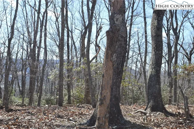 $45,000 | Coleman Drive, Sparta, NC 28675