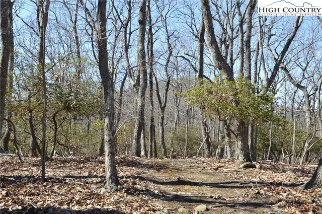 $45,000 | Coleman Drive, Sparta, NC 28675