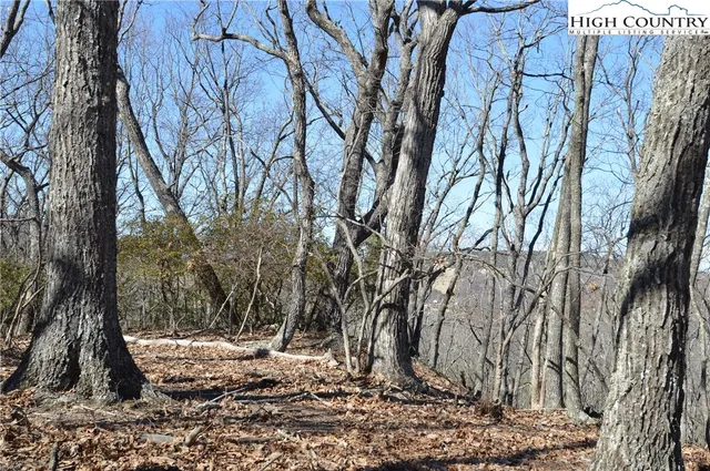 $45,000 | Coleman Drive, Sparta, NC 28675