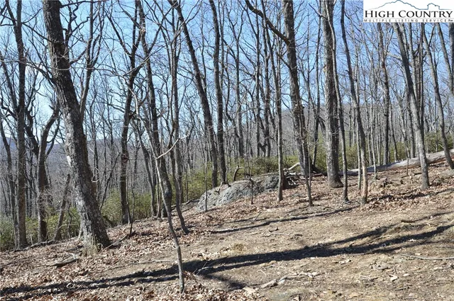 $45,000 | Coleman Drive, Sparta, NC 28675