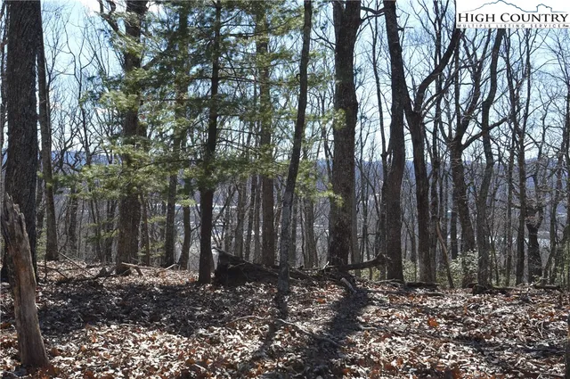 $45,000 | Coleman Drive, Sparta, NC 28675