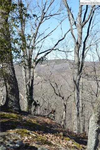 $45,000 | Coleman Drive, Sparta, NC 28675