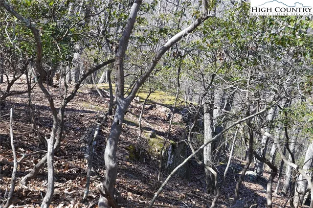 $45,000 | Coleman Drive, Sparta, NC 28675