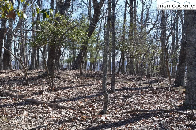 $45,000 | Coleman Drive, Sparta, NC 28675