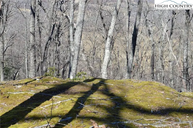 $45,000 | Coleman Drive, Sparta, NC 28675