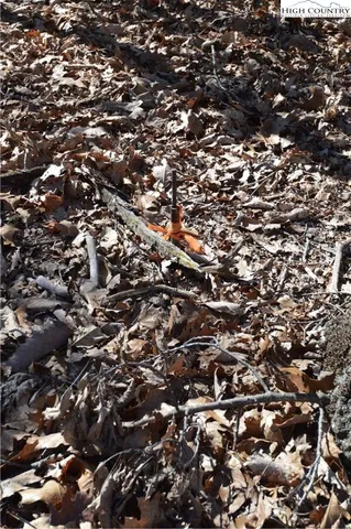 $45,000 | Coleman Drive, Sparta, NC 28675