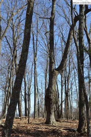 $45,000 | Coleman Drive, Sparta, NC 28675