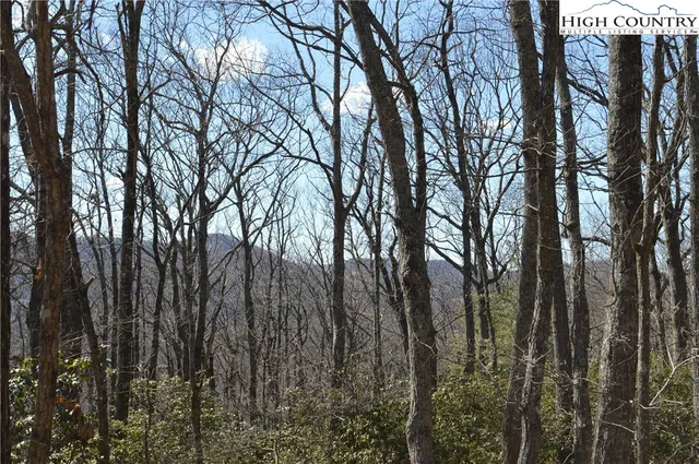 $45,000 | Coleman Drive, Sparta, NC 28675