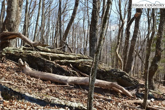 $45,000 | Coleman Drive, Sparta, NC 28675