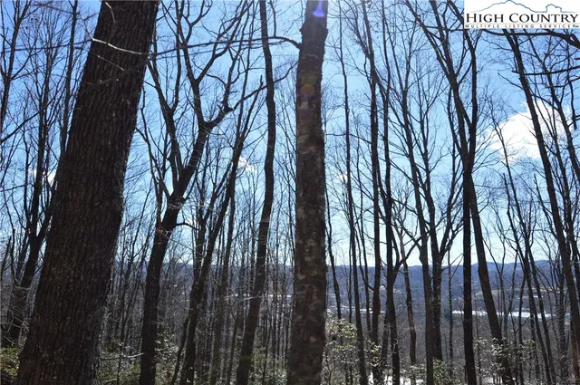 $45,000 | Coleman Drive, Sparta, NC 28675