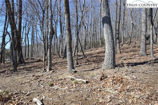 $45,000 | Coleman Drive, Sparta, NC 28675