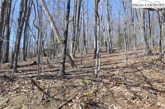 $45,000 | Coleman Drive, Sparta, NC 28675