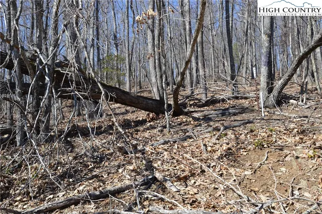 $45,000 | Coleman Drive, Sparta, NC 28675