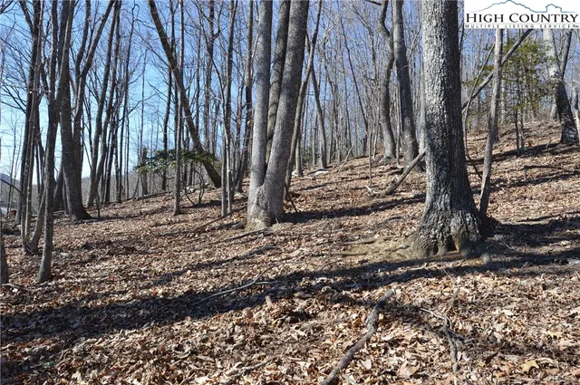 $45,000 | Coleman Drive, Sparta, NC 28675