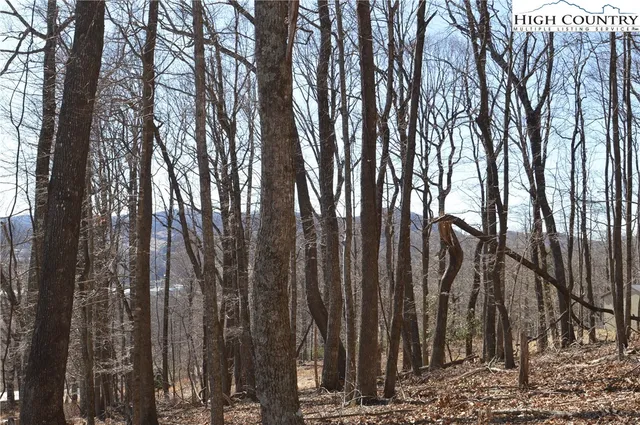 $45,000 | Coleman Drive, Sparta, NC 28675