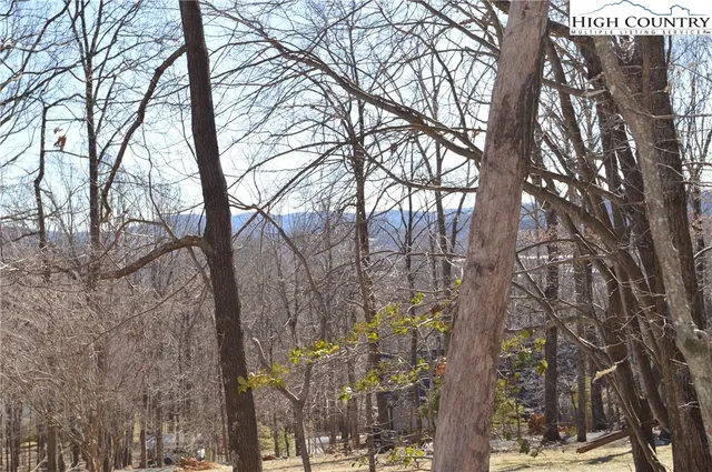 $45,000 | Coleman Drive, Sparta, NC 28675