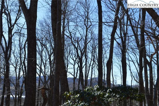 $45,000 | Coleman Drive, Sparta, NC 28675