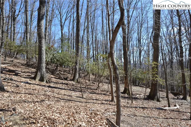 $45,000 | Coleman Drive, Sparta, NC 28675