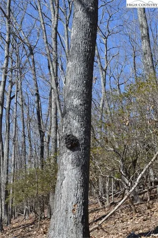 $45,000 | Coleman Drive, Sparta, NC 28675