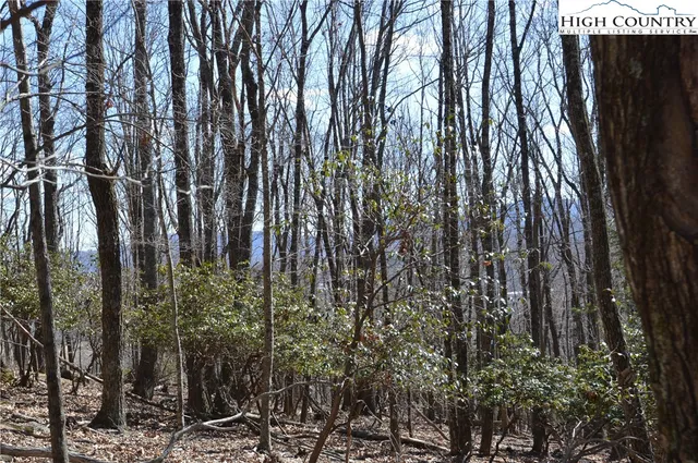 $45,000 | Coleman Drive, Sparta, NC 28675