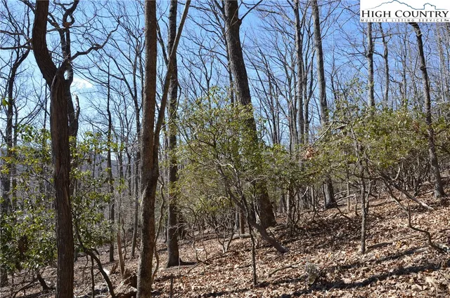 $45,000 | Coleman Drive, Sparta, NC 28675