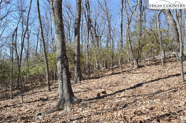 $45,000 | Coleman Drive, Sparta, NC 28675