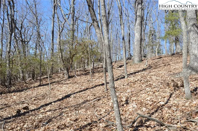 $45,000 | Coleman Drive, Sparta, NC 28675