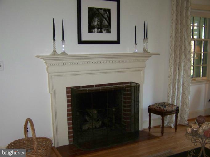 107 Bellemore Road Baltimore, MD 21210 - Photo 6 of 16 a living room with a fireplace and a potted plant