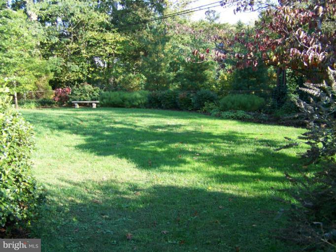 107 Bellemore Road Baltimore, MD 21210 - Photo 9 of 16 a green field with lots of trees in it