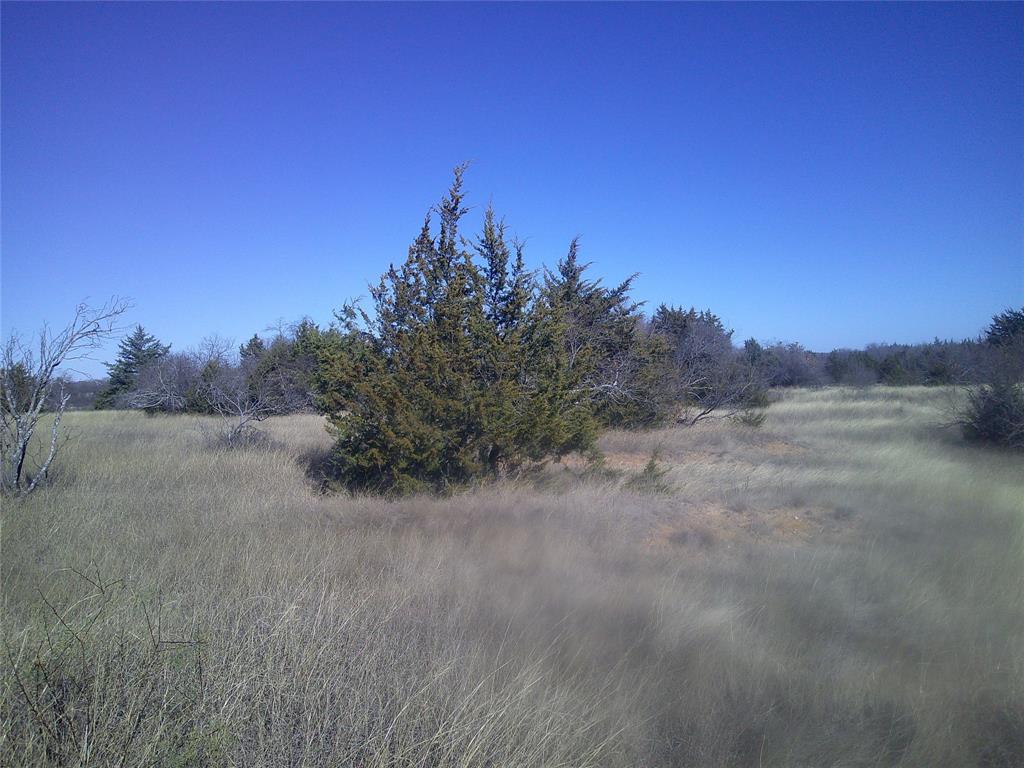 4 E Cr Chico, TX 76431 - Photo 2 of 8 a view of a dry yard with trees