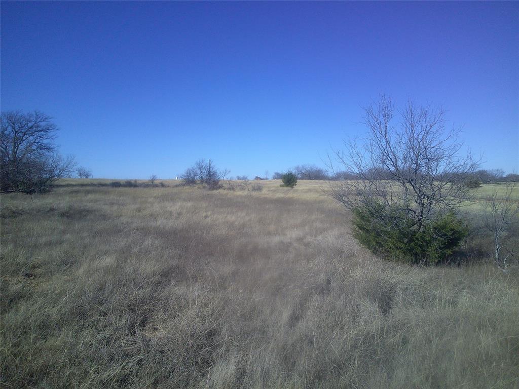 4 E Cr Chico, TX 76431 - Photo 6 of 8 a view of yard and trees