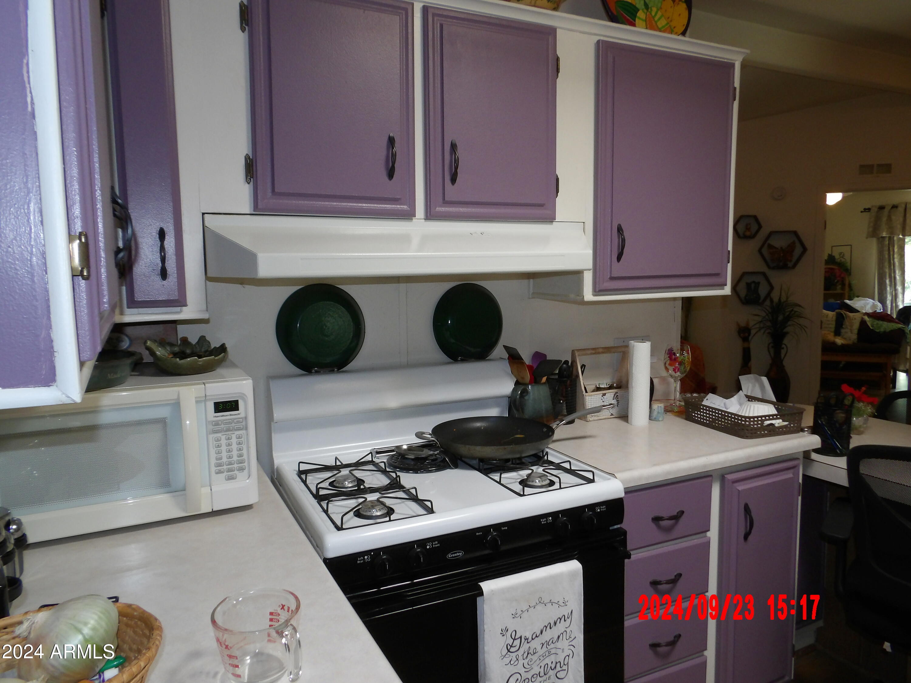 376 North Warren Road, Unit 2 Benson, AZ 85602 - Photo 14 of 40 100_0085