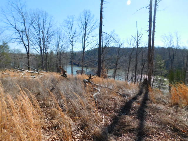 Lot 1 Rabbit Run Road Goodview, VA 24095 - Photo 11 of 17 a backyard of a house