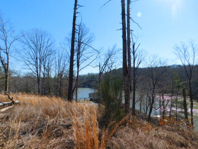 Lot 1 Rabbit Run Road Goodview, VA 24095 - Photo 13 of 17 a view of outdoor space with trees