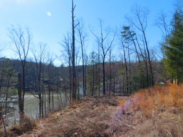 Lot 1 Rabbit Run Road Goodview, VA 24095 - Photo 14 of 17 a backyard of a house with lots of green space