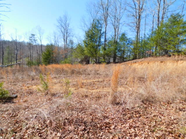 Lot 1 Rabbit Run Road Goodview, VA 24095 - Photo 15 of 17 a view of a yard with trees