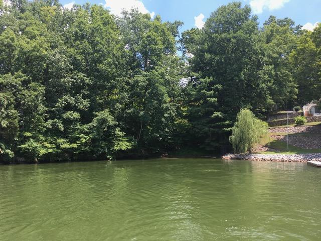 Lot 1 Rabbit Run Road Goodview, VA 24095 - Photo 16 of 17