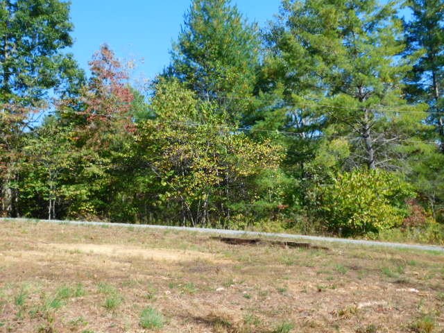 Lot 1 Rabbit Run Road Goodview, VA 24095 - Photo 3 of 17 a view of a yard with a tree
