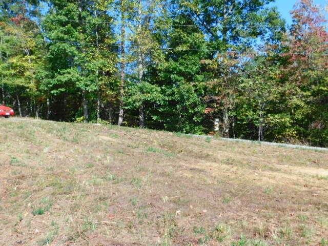 Lot 1 Rabbit Run Road Goodview, VA 24095 - Photo 5 of 17 a view of a yard with a tree