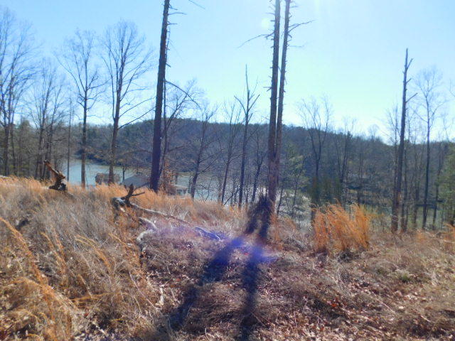 Lot 1 Rabbit Run Road Goodview, VA 24095 - Photo 8 of 17 a backyard of a house