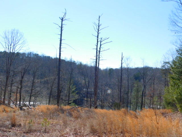 Lot 1 Rabbit Run Road Goodview, VA 24095 - Photo 9 of 17 a view of a wooden fence next to a road