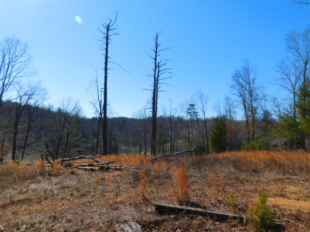 Lot 1 Rabbit Run Road Goodview, VA 24095 - Photo 10 of 17 a view of a wooden fence with a yard